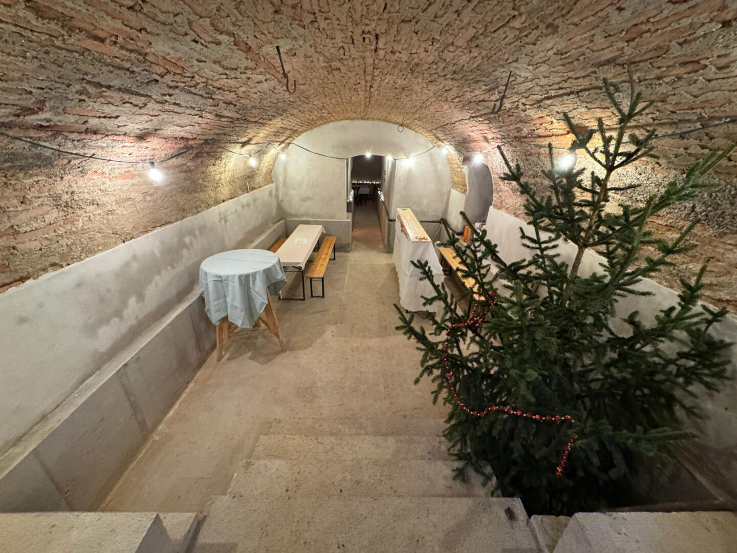 3972 Steinbach, Keller Sanierung